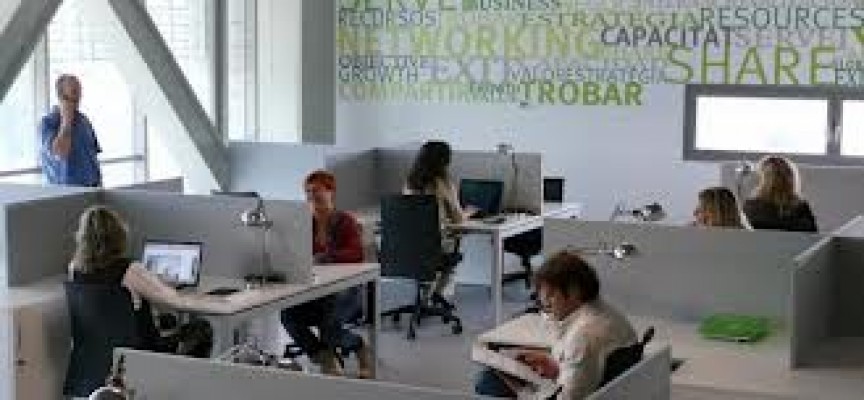 El centro de empresas de PalmaActiva se amplía con un nuevo espacio de coworking de 11 plazas