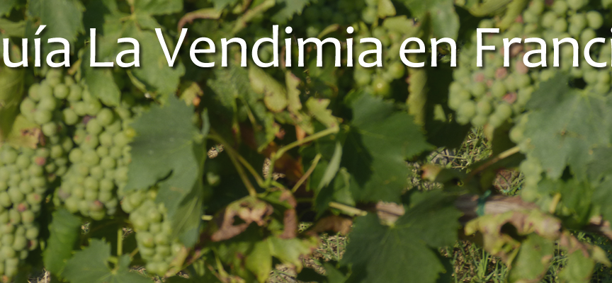 Guía Informativa: Recolección de Fruta y Campaña de la Vendimia, 2014. Francia