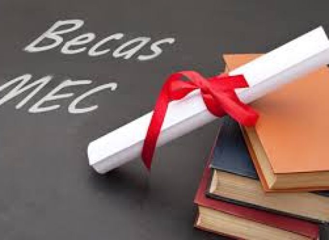 Becas para el curso 2014-2015: requisitos y cuantías