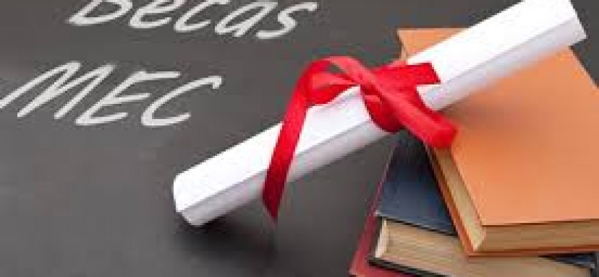 Becas para el curso 2014-2015: requisitos y cuantías