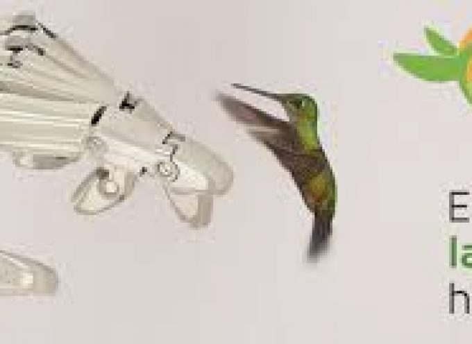 iBird Last Mile prevé crear 3.500 empleos