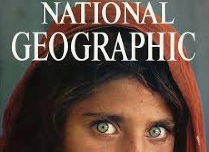 National Geographic lanza 5 ofertas de empleo