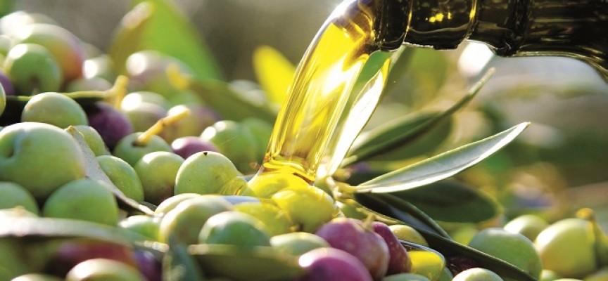 Aceites de oliva para exquisitos