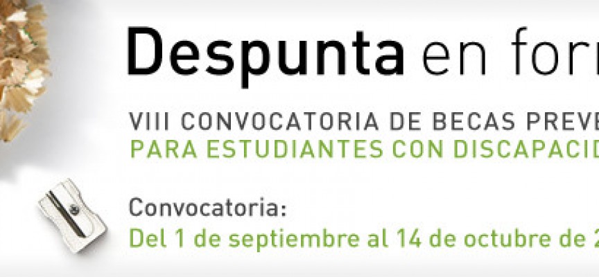 Becas para estudiantes con discapacidad. Hasta el 14 de octubre.