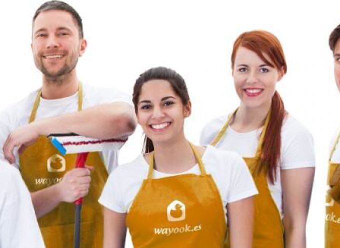 220 Profesionales para servicios de limpieza y servicios domésticos.