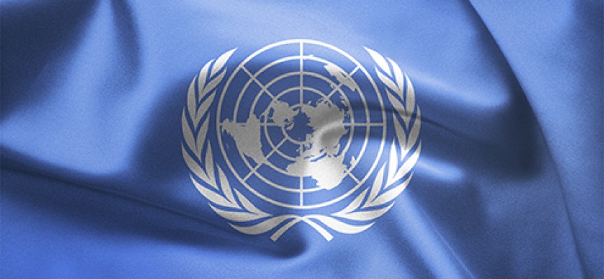 Prácticas Internacionales de las Naciones Unidas en Asia y Pacífico. Hasta el 31/12/2014