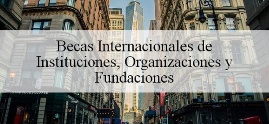 Becas Internacionales de Instituciones, Organizaciones y Fundaciones