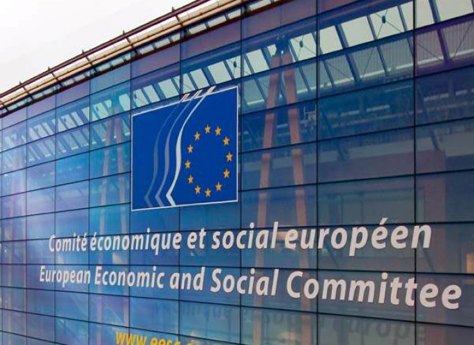 Prácticas en el Comité Económico y Social Europeo.