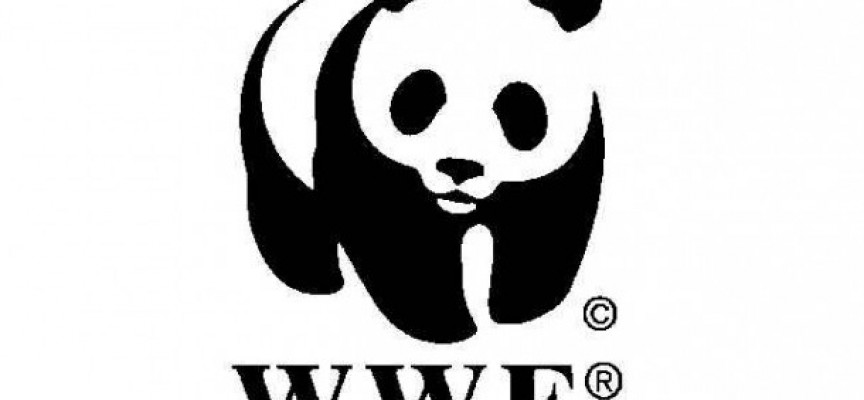 Trabajar en la Organización WWF