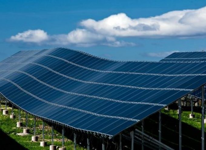 590 empleos directos en la mayor central de producción de energía solar fotovoltaica. Lorca.