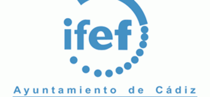Manual entrevista competencias ifef