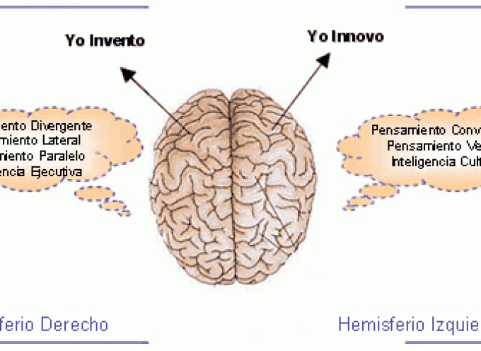 ¿Cuáles son las habilidades que se desarrollan en cada uno de los hemisferios de nuestro cerebro?