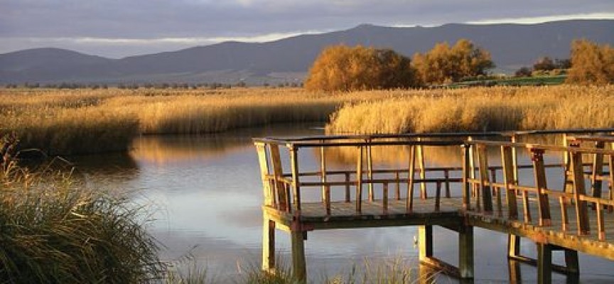 Curso: Guía Intérprete de Espacios Naturales. Tercera Edición. Inscripción hasta el 16 de octubre