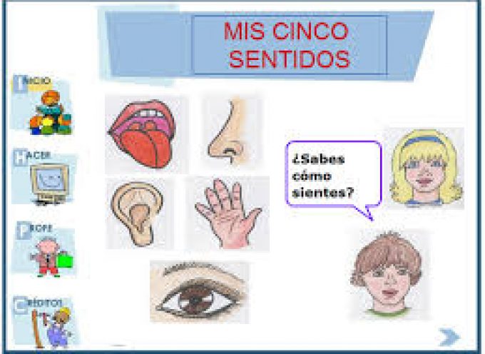 Recursos para trabajar los cinco sentidos en educación Infantil
