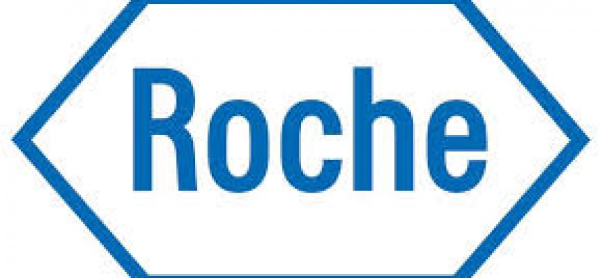 Mas de 1.900 ofertas de trabajo y becas activas en Roche.