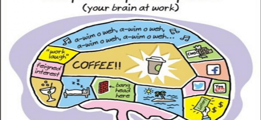 Cómo funciona el cerebro en el trabajo
