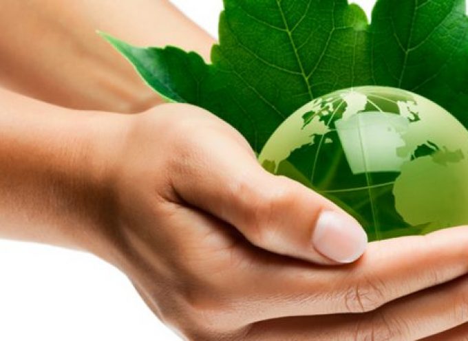 5 libros para educar la conciencia ecológica