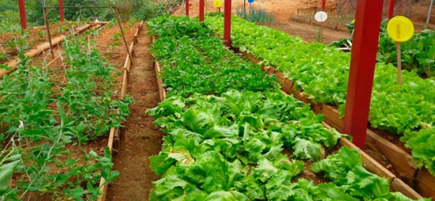 Diez novedades que revolucionarán el sector agroalimentario