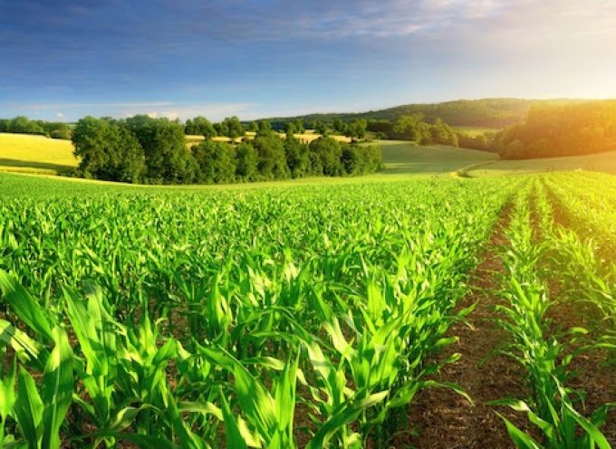 Aprender a cultivar en un clima cambiante: formación gratuita para ayudar al sector agrario a adaptarse al cambio climático