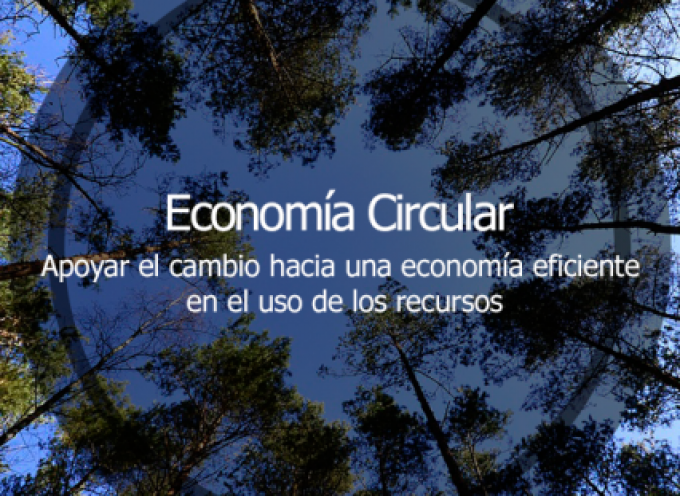 Economía circular: la alternativa sostenible al modelo económico lineal