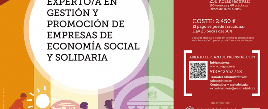 EXPERTA/O EN GESTIÓN Y PROMOCIÓN DE EMPRESAS DE ECONOMÍA SOCIAL Y SOLIDARIA