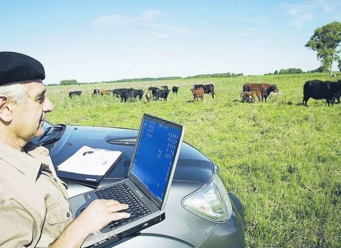 Tecnología y ganadería, hacia un desarrollo sostenible