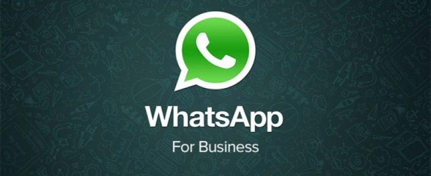 WhatsApp Business, una gran opción para llegar a tus clientes