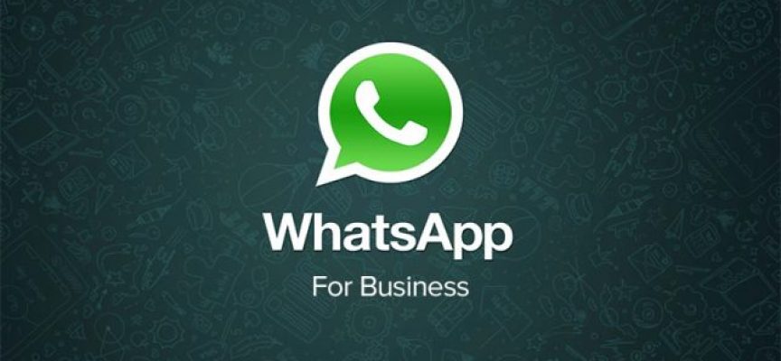 WhatsApp Business, una gran opción para llegar a tus clientes