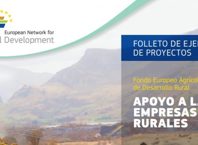 ‘Apoyo a las empresas rurales’, nueva publicación de la Red Rural Europea sobre proyectos FEADER