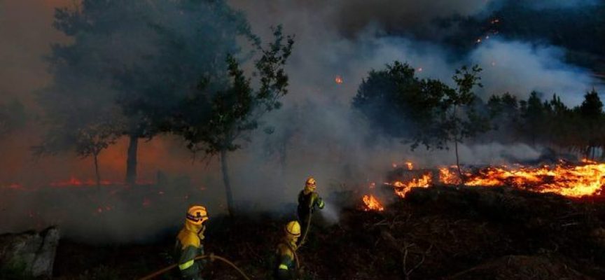 Valencia contratará 744 brigadistas para la prevención de incendios