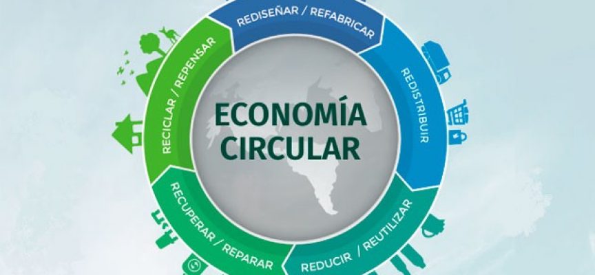 Economía circular: cómo transformar tu empresa de fabricación (guía)