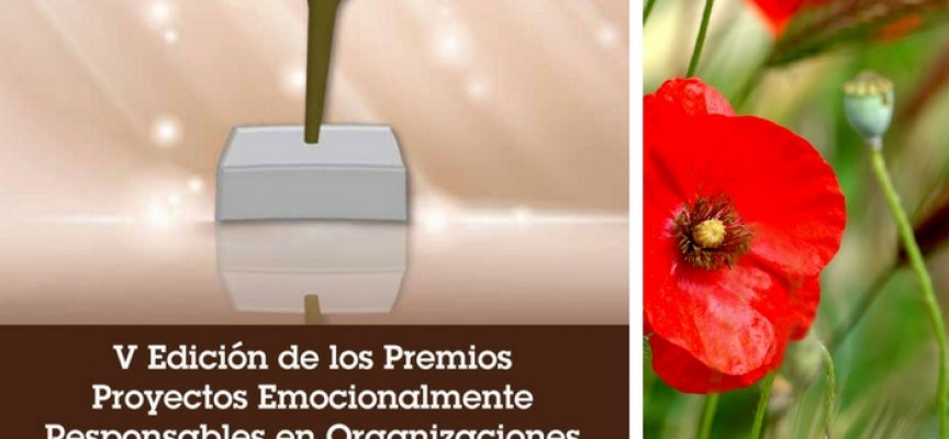 V Edición de los Premios Proyectos Emocionalmente Responsables en Organizaciones de la Comunidad de Madrid | Plazo 31/05/2018