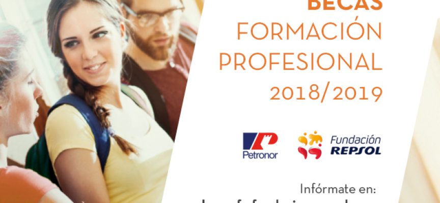 100 becas remuneradas de Formación Profesional de Repsol y Petronor | Plazo 16/10/2018