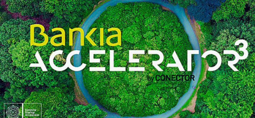 Ya puedes inscribirte en el programa de aceleración de Bankia by Conector | Plazo: 16/09/2018