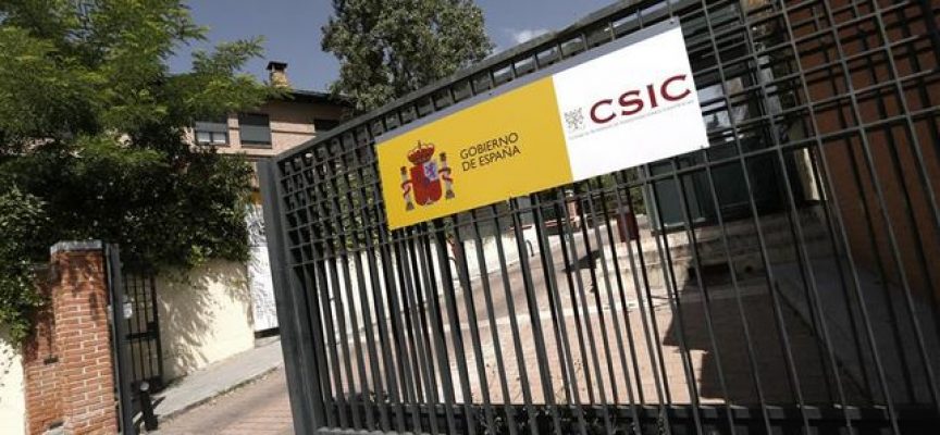 CSIC convoca 250 Becas de Introducción a la Investigación para estudiantes universitarios | Plazo: 7 de mayo