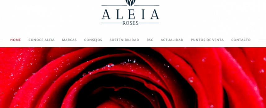 La empresa Aleia Roses aumentará la plantilla hasta 500 trabajadores