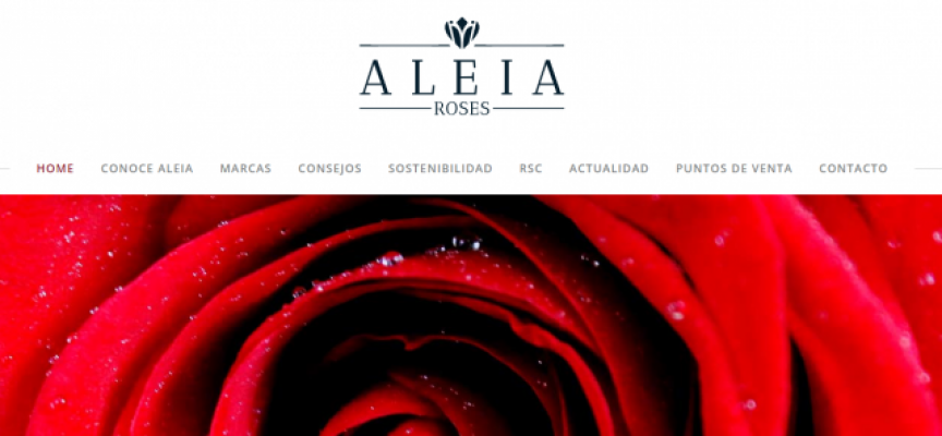 La empresa Aleia Roses aumentará la plantilla hasta 500 trabajadores