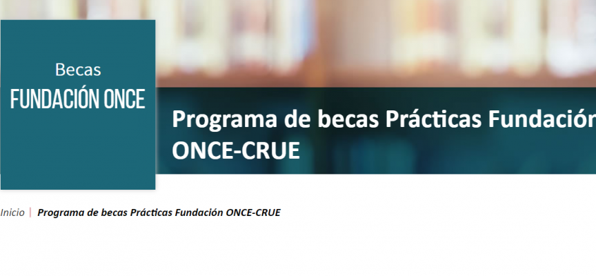 300 becas de prácticas para universitarios-as con grado de discapacidad.