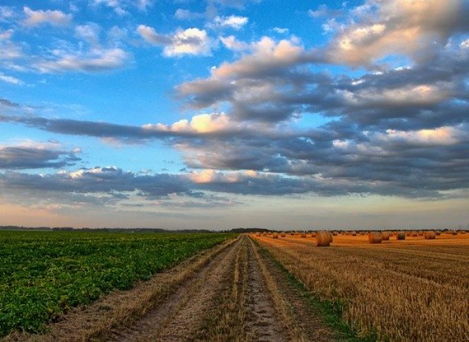 Una aplicación conecta agricultores locales de toda Europa para fomentar un cultivo sostenible