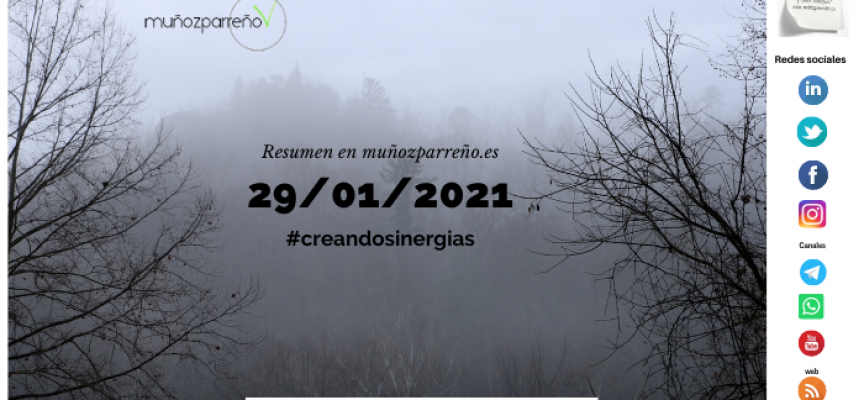 Boletín 7/2021 – #creandosinergias viernes 29 de enero de 2021
