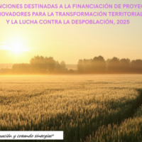 SUBVENCIONES DESTINADAS A LA FINANCIACIÓN DE PROYECTOS INNOVADORES PARA LA TRANSFORMACIÓN TERRITORIAL Y LA LUCHA CONTRA LA DESPOBLACIÓN, 2025