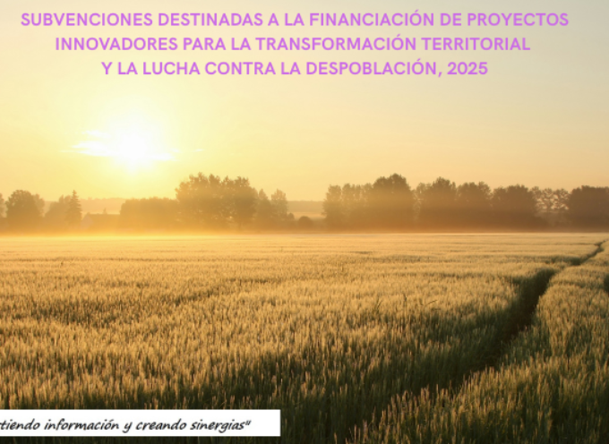 SUBVENCIONES DESTINADAS A LA FINANCIACIÓN DE PROYECTOS INNOVADORES PARA LA TRANSFORMACIÓN TERRITORIAL Y LA LUCHA CONTRA LA DESPOBLACIÓN, 2025