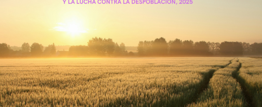 SUBVENCIONES DESTINADAS A LA FINANCIACIÓN DE PROYECTOS INNOVADORES PARA LA TRANSFORMACIÓN TERRITORIAL Y LA LUCHA CONTRA LA DESPOBLACIÓN, 2025