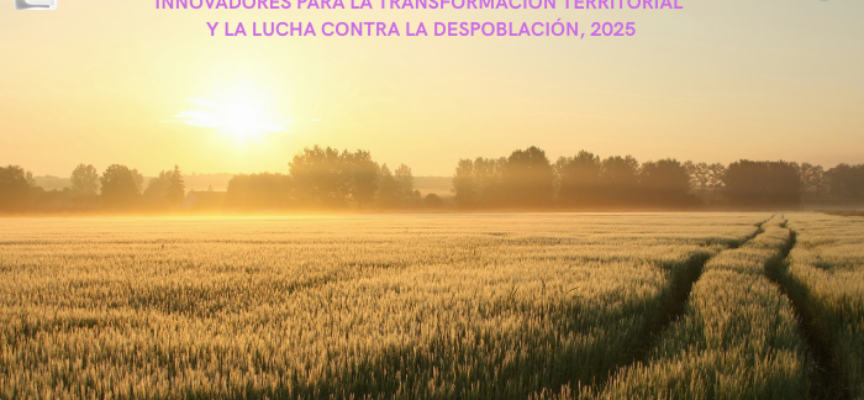 SUBVENCIONES DESTINADAS A LA FINANCIACIÓN DE PROYECTOS INNOVADORES PARA LA TRANSFORMACIÓN TERRITORIAL Y LA LUCHA CONTRA LA DESPOBLACIÓN, 2025